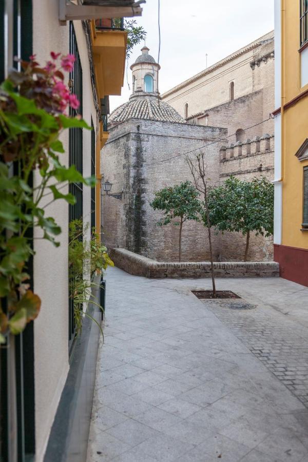 Apartment Bordador *